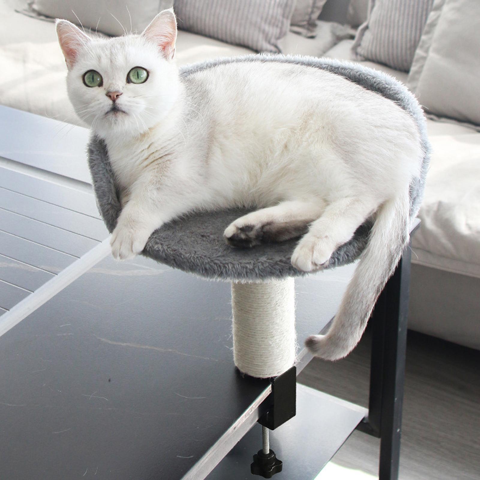 고양이 책상 퍼치 조절 가능한 데스크탑 플로팅 캣 베드 - Under Desk Hammock 리뷰 및 가격